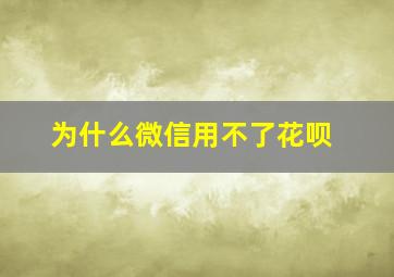 为什么微信用不了花呗