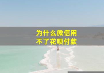 为什么微信用不了花呗付款