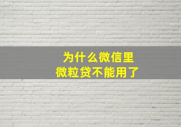 为什么微信里微粒贷不能用了