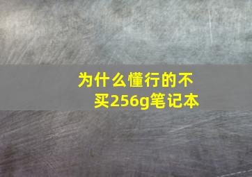 为什么懂行的不买256g笔记本