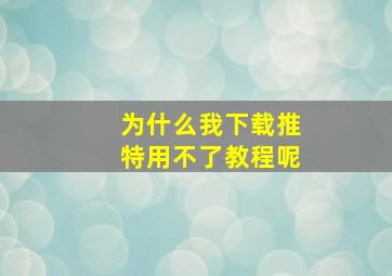 为什么我下载推特用不了教程呢