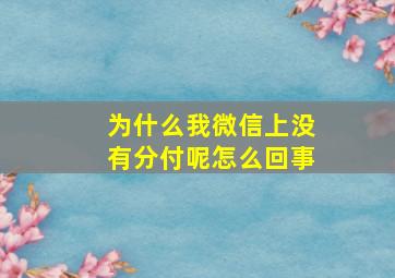 为什么我微信上没有分付呢怎么回事