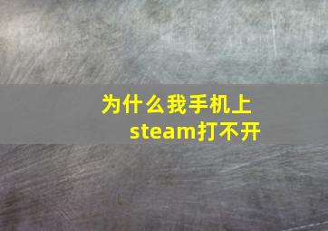 为什么我手机上steam打不开