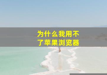 为什么我用不了苹果浏览器