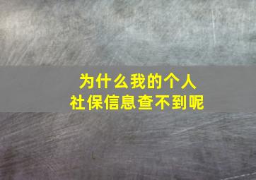 为什么我的个人社保信息查不到呢