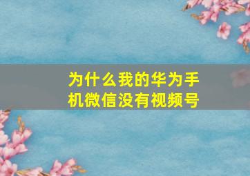 为什么我的华为手机微信没有视频号