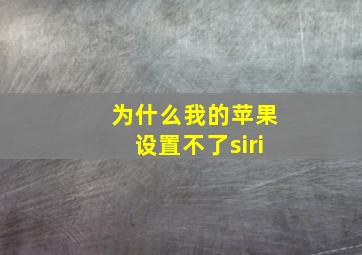 为什么我的苹果设置不了siri