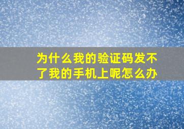 为什么我的验证码发不了我的手机上呢怎么办