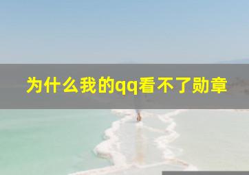 为什么我的qq看不了勋章