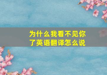 为什么我看不见你了英语翻译怎么说