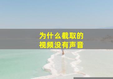 为什么截取的视频没有声音