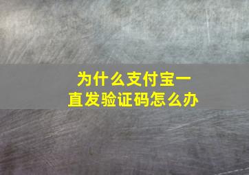 为什么支付宝一直发验证码怎么办