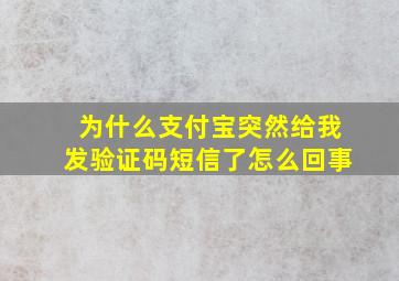 为什么支付宝突然给我发验证码短信了怎么回事