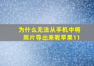 为什么无法从手机中将照片导出来呢苹果11