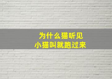 为什么猫听见小猫叫就跑过来