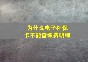 为什么电子社保卡不能查缴费明细