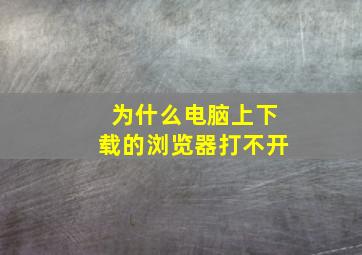 为什么电脑上下载的浏览器打不开