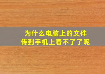 为什么电脑上的文件传到手机上看不了了呢