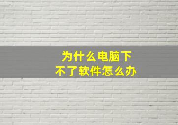 为什么电脑下不了软件怎么办