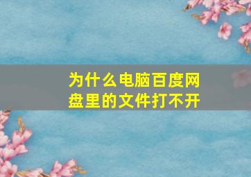 为什么电脑百度网盘里的文件打不开