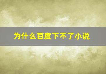 为什么百度下不了小说