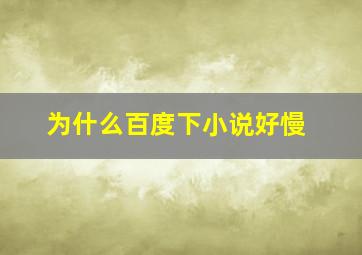 为什么百度下小说好慢