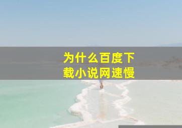 为什么百度下载小说网速慢