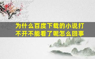 为什么百度下载的小说打不开不能看了呢怎么回事