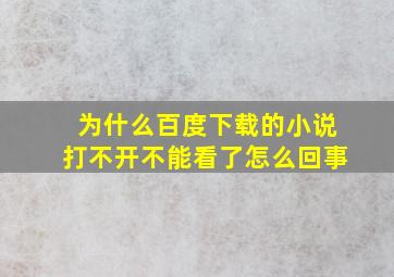 为什么百度下载的小说打不开不能看了怎么回事