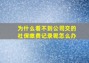 为什么看不到公司交的社保缴费记录呢怎么办