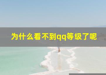 为什么看不到qq等级了呢