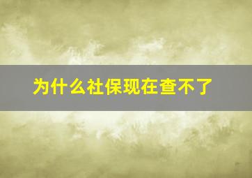 为什么社保现在查不了