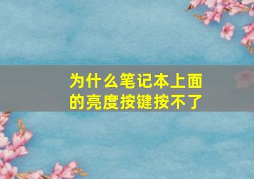 为什么笔记本上面的亮度按键按不了