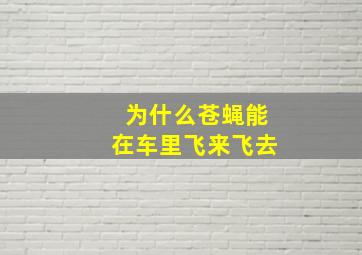 为什么苍蝇能在车里飞来飞去