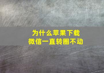 为什么苹果下载微信一直转圈不动