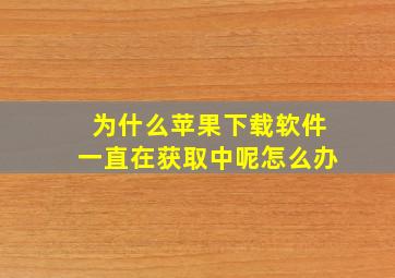 为什么苹果下载软件一直在获取中呢怎么办