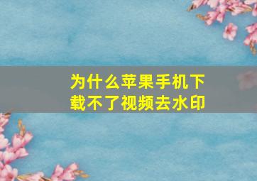 为什么苹果手机下载不了视频去水印