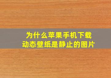 为什么苹果手机下载动态壁纸是静止的图片