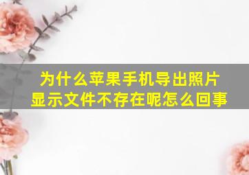 为什么苹果手机导出照片显示文件不存在呢怎么回事