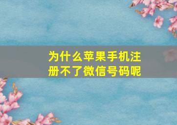 为什么苹果手机注册不了微信号码呢