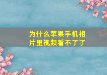 为什么苹果手机相片里视频看不了了