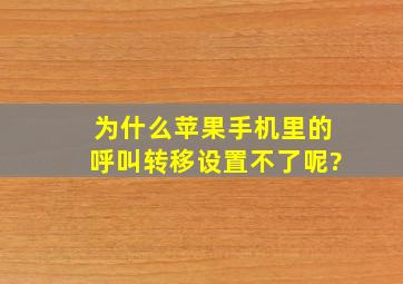 为什么苹果手机里的呼叫转移设置不了呢?