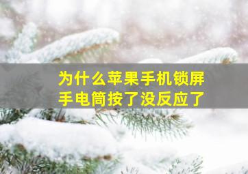 为什么苹果手机锁屏手电筒按了没反应了