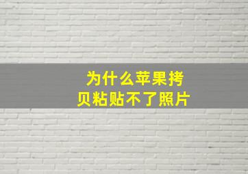 为什么苹果拷贝粘贴不了照片