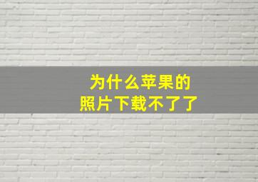 为什么苹果的照片下载不了了