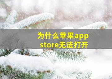 为什么苹果app store无法打开