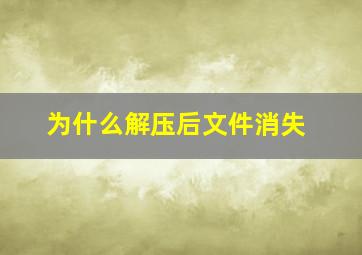 为什么解压后文件消失