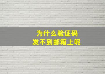 为什么验证码发不到邮箱上呢