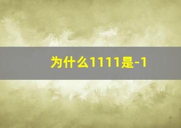 为什么1111是-1