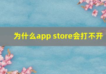 为什么app store会打不开